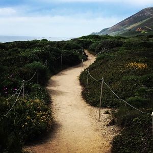 Meet your Posher, Bridget